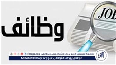 فرص عمل خالية في مشروع الأتوبيس الترددي BRT