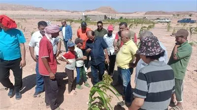 الزراعة: كامل الدعم لمزارعي سيناء من كافة قطاعات الوزارة لضمان نجاح التنمية الزراعية