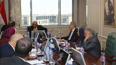 عاجل.. إعادة هيكلة الشركة المصرية لنقل الكهرباء كمشغل مستقل لفتح المجال أمام القطاع الخاص