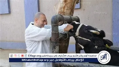 بيطري المنيا: تقديم 1527 خدمة خلال 3 قوافل بيطرية مجانية شاملة