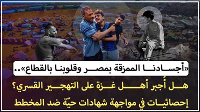 «أجسادنا الممزقة بمصر وقلوبنا بالقطاع».. هل أُجبر أهل غزة على التهجير القسري؟ إحصائيات في مواجهة شهادات حيّة ضد المخطط (فيديو ومستندات)