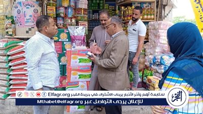 محافظ المنيا: ضبط 228 مخالفة خلال حملات تفتيشية تموينية مكبرة على المخابز والأسواق