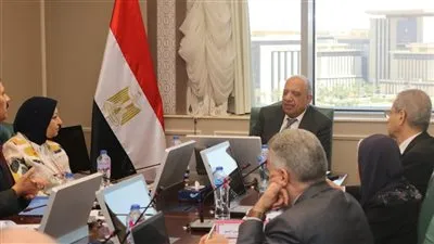  الدكتور محمود عصمت: إعادة هيكلة الشركة المصرية كمشغل مستقل لمنظومة نقل الكهرباء، 