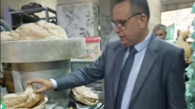 إحالة 266 محضر في حملات تموينية بالدقهلية للتحقيق 