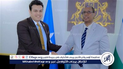 الأعلى للاقتصاد العربي الأفريقي: دعم الصومال الشقيق أهم أولوياتنا المرحلة الراهنة