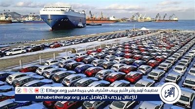 متحدث الحكومة يكشف الاشتراطات الجديدة لاستيراد سيارات ذوي الهمم