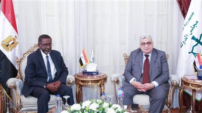 رئيس مجلس الدولة يستقبل المدير الإقليمي لمجموعة البنك الدولي