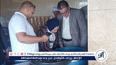 صحة الدقهلية: إعدام 65 طن من مخللات متنوعة دون بيانات غير صالحة للاستهلاك الآدمى