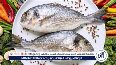 أسعار الأسماك والجمبري في سوق العبور اليوم: تباين ملحوظ في الأسعار