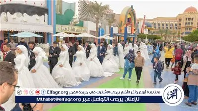 ضمن مبادرة «اكفل.. استر.. وجوز».. دعم زواج 1832عروس يتيمة بالفيوم 