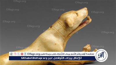 لعبة ميكانيكية عمرها 3000 عامًا… الشماع يطالب باستردادها ويقدم مقترحًا للمتحف الكبير 