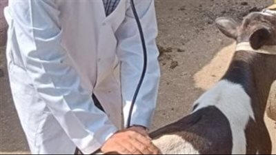 جامعة الزقازيق توجه قافلة بيطرية مجانية لقرية الطيبة بالشرقية