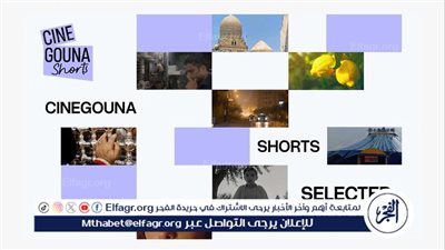 8 أفلام تجسد حكايات فريدة من نوعها لصناع أفلام مصريين