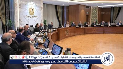 عاجل - الحكومة تطلق آلية جديدة لدعم التنمية والبنية الأساسية في دول حوض النيل بتوجيهات من الرئيس السيسي