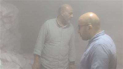 ضبط طن سردين وأسماك ومفروم دواجن غير صالحة للاستهلاك الآدمي بالمنوفية