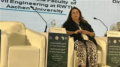 الممثل الإقليمي لبرنامج الأمم المتحدة: المنطقة العربية معرضة للتأثر بشدة بالتغيرات المناخية