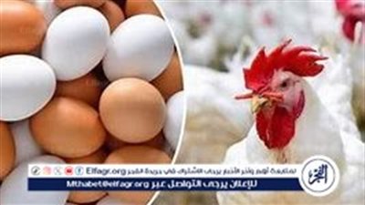 أسعار البيض اليوم الجمعة 18-10-2024 في الدقهلية