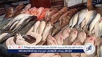أسعار السمك اليوم 10-11-2024 في الدقهلية
