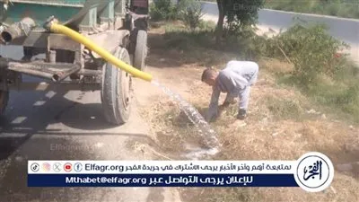 زراعة 100 شتلة متنوعة بمركزي مطاي وبني مزار ضمن المبادرة الرئاسية “بداية” من أجل بيئة صحية