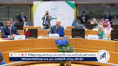 تفاصيل القمة الخليجية-الأوروبية المقامة في بروكسل حول فلسطين.. فيديو
