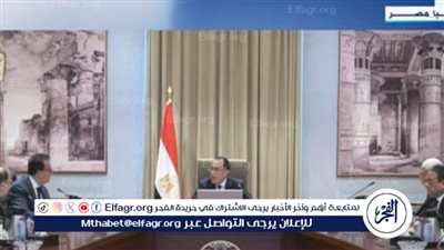 عاجل| رئيس الوزراء يزف بشرى سارة بشأن الدواء في مصر