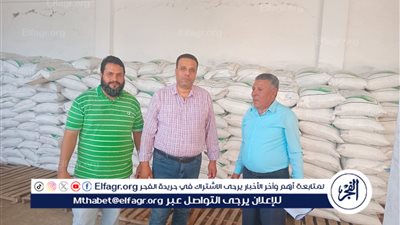 وصول تقاوي الشعير المدعومة لمحافظة مطروح