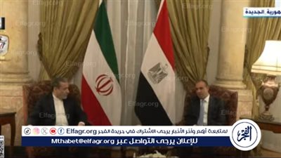 عاجل| وزير الخارجية المصري يلتقي نظيره الإيراني