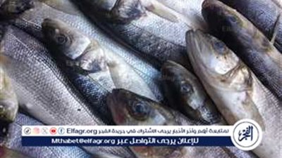 عاجل.. تزايد أسعار الأسماك والجمبري في مصر: تفاصيل الأسعار في عالم المأكولات البحرية
