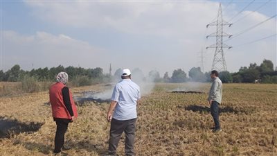 قيادات وزارة البيئة تواصل جولاتها الميدانية بمحافظات منظومة قش الأرز