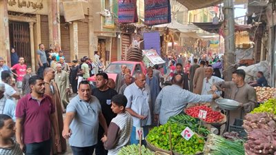 محافظ أسيوط: استمرار حملات إزالة الإشغالات والتعديات على حرم الطرق بمدينة أبوتيج  