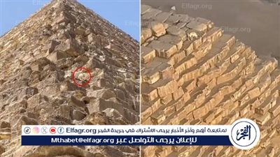 مصور فيديو كلب قمة الهرم يكشف تفاصيل الواقعة: مشهد استثنائي