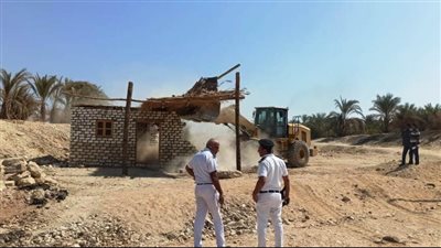 إزالة 71 حالة تعد على الأراضي الزراعية وأملاك الدولة في أسوان