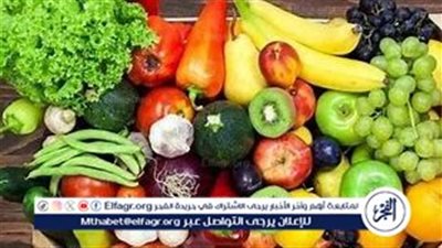 استقرار أسعار الخضروات في الأسواق المصرية اليوم الثلاثاء 22 أكتوبر 2024