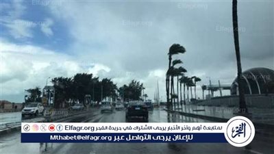 الأرصاد تحذر: طقس غير مستقر اليوم وغدا.. رمال وأتربة بهذه المناطق (فيديو)