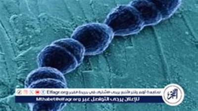 ارتفاع حالات الإصابة بعدوى بكتيريا آكلة اللحوم في فلوريدا بعد موجة الأعاصير