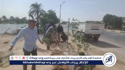 زراعة 107 شتلات بمركزي مطاي وسمالوط ضمن المبادرة الرئاسية 100 مليون شجرة 