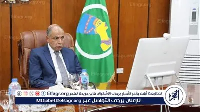 محافظ المنيا يشارك في اجتماع وزيرة التنمية المحلية لمتابعة جهود ضبط الأسواق وتوفير السلع بأسعار مخفضة