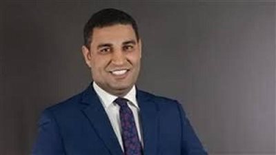 د.مصطفي ثابت يكتب.. مهرجان الجونة: بين دعم القطاع الخاص ورسائل الدولة