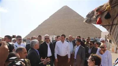 بعد كلب الهرم.. إطلاق برنامج رعاية الخيول والإبل والحيوانات الأليفة بالمناطق الأثرية