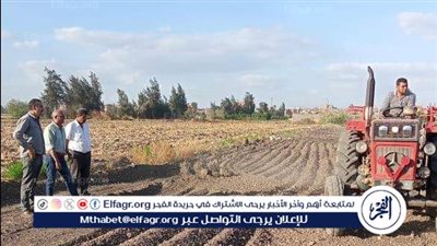 إزالة تشوينات من الأتربة لمحاولة بناء وتبوير أرض زراعية في أجا بالدقهلية 