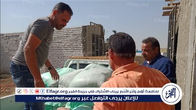 ضبط 123 شيكارة دقيق بلدي مدعم قبل بيعها في السوق السوداء ببني سويف