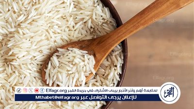 الأرز بين ارتفاعات الشعير وتقلبات السوق: أسعار جديدة في السوق المصري
