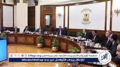 جهود الحكومة المصرية في تطوير قطاع التجزئة وتوقعات نموه حتى عام 2028