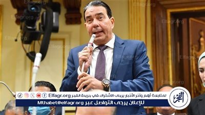 توضيح مهم من برلماني بشأن قرار المحليات بترخيص العيادات الخاصة (فيديو)