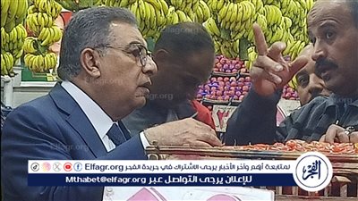 تفاصيل وقرارات محافظ الدقهلية في جولة تفقدية ليلية ببلقاس.. صور