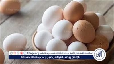 تأثير استيراد البيض على أسعار الدواجن في مصر: تراجع ملحوظ في الأسعار