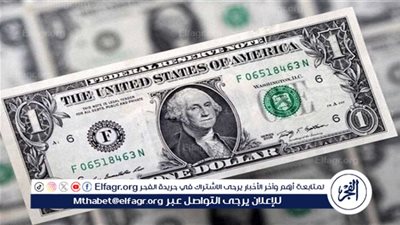استقرار سعر الدولار اليوم في مصر بختام تعاملات الثلاثاء 29 أكتوبر 2024