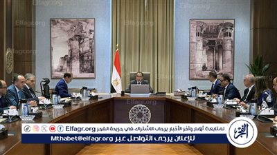 عاجل| مجلس الوزراء يكشف حقيقة بيع بحيرة البردويل