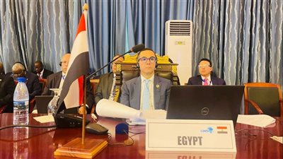 تنمية الاستثمارات.. مصر تشارك في القمة الثالثة والعشرين لتجمع الكوميسا ببوروندي