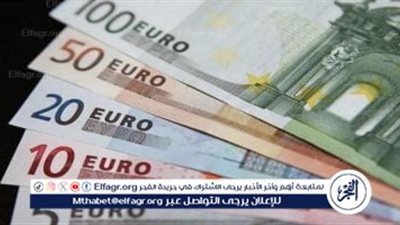 آخر تحديث.. استقرار ملحوظ لأسعار اليورو أمام الجنيه المصري في 2 نوفمبر 2024